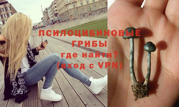 ГАЛЛЮЦИНОГЕННЫЕ ГРИБЫ Зерноград