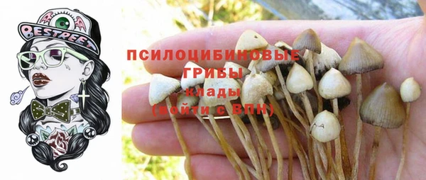 PSILOCYBIN Алексеевка