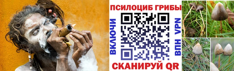 купить закладку  Лагань  Галлюциногенные грибы Magic Shrooms 